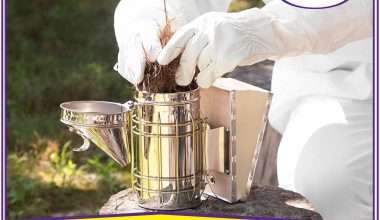 Stainless Steel Smoker