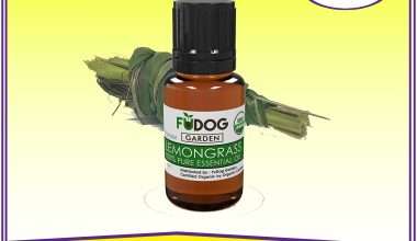 Bee Lemon Grass
