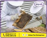 Beekeeping Harvesting Kit