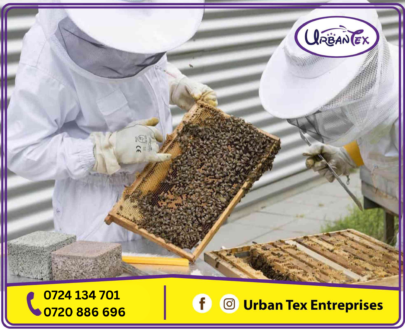 Honey Harvesting Kit
